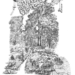 Sous-bois