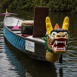 Balade apéro en Dragon boat sur la Rance