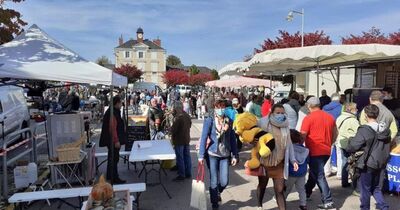 Grande Brocante annuelle des Chtis dr&ocirc;les de Reuilly 