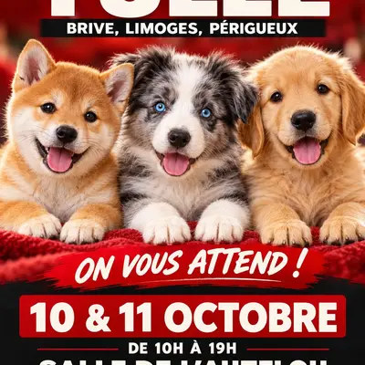 Salon du chiot et du chaton Tulle