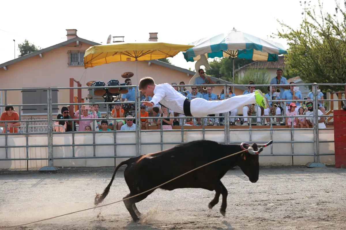 Course Landaise