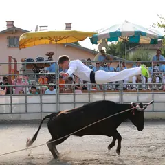 Course Landaise