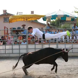 Course Landaise