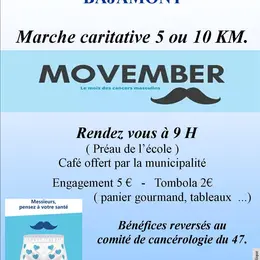 NOVEMBRE BLEU   -  Marche caritative de 5 ou 10 Km.