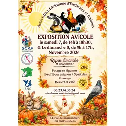 Exposition avicole d'Ensisheim et environs