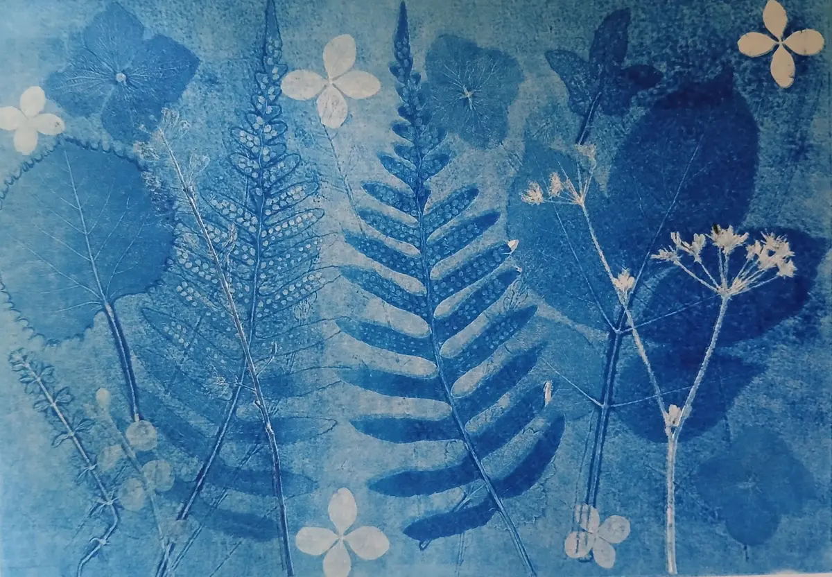 Atelier d'initiation au monotype végétal  à Kaysersberg Vignoble