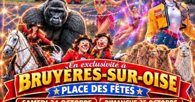 Cirque zavatta