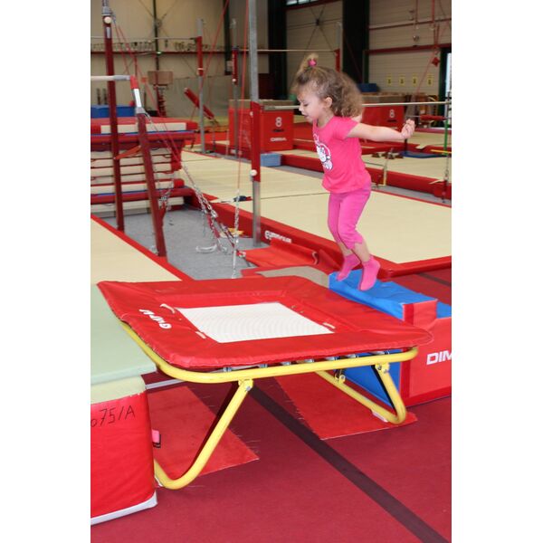 A la découverte de la babygym