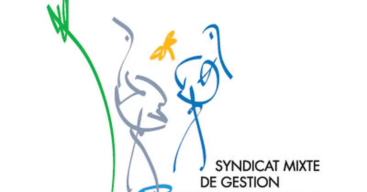 Baguage de passereaux