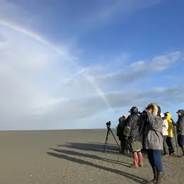 Baie des Veys : Ses oiseaux, ses phoques