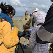 Baie des veys : ses oiseaux, ses phoques