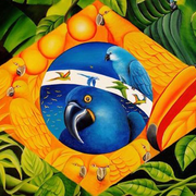 Baile do Brasil : Live Samba & Clubbing Rio Funk & Brazil vibes