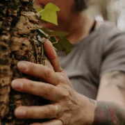 Bain de forêt
