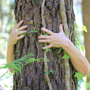 Bain de forêt