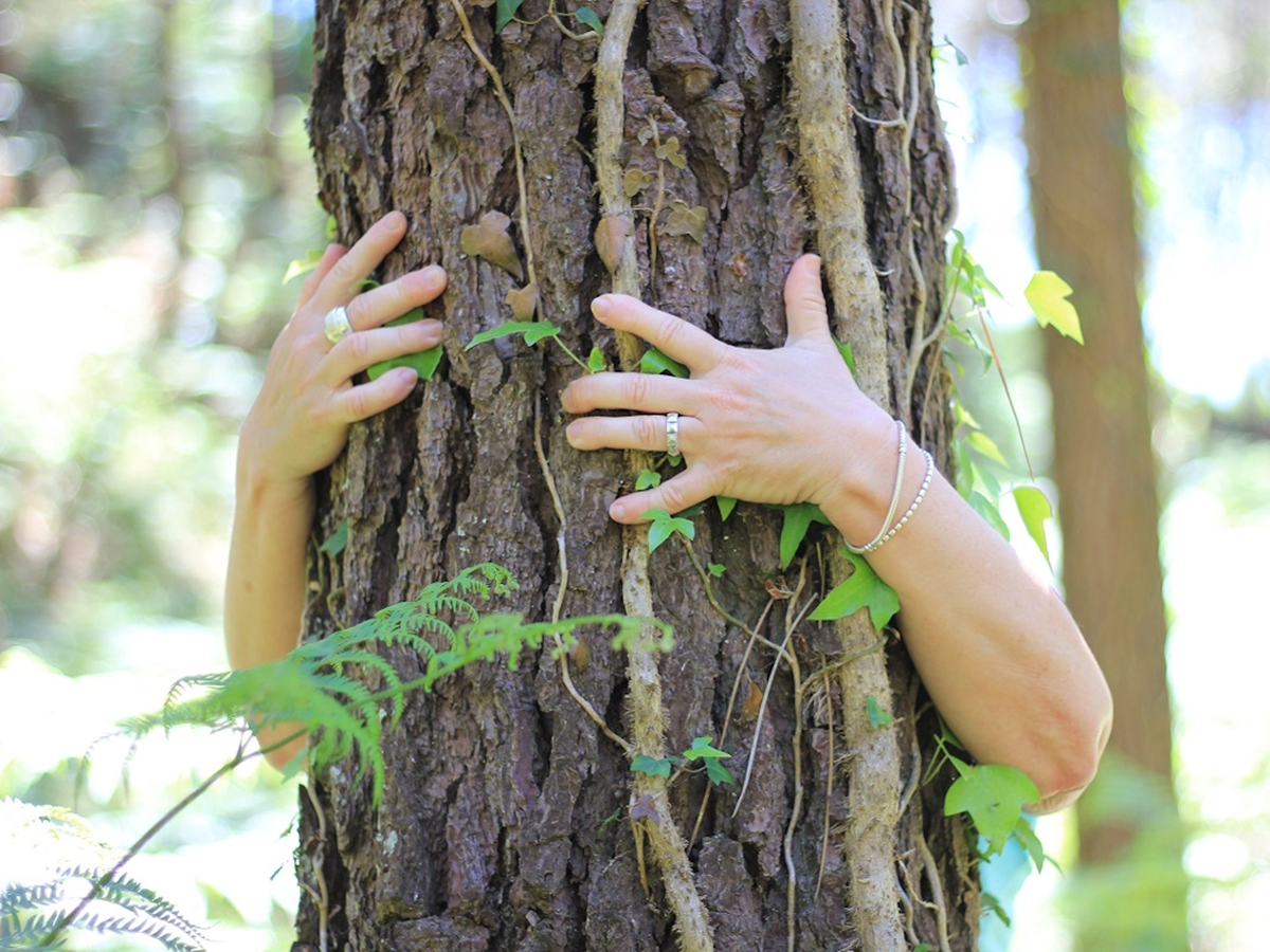 Bain de forêt