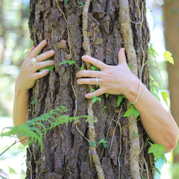 Bain de forêt