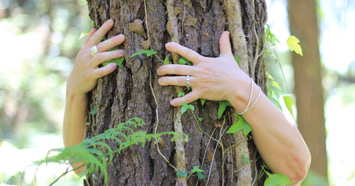Bain de forêt