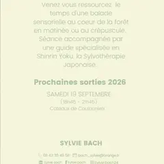 Bain de forêt guidé
