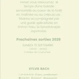 Bain de forêt guidé