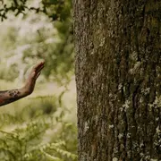 Bain de forêt / Quiétude et nature