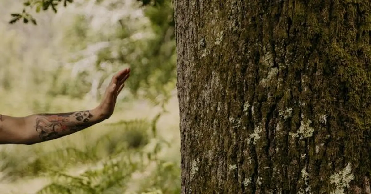 Bain de forêt Quiétude et Nature