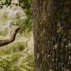 Bain de forêt Quiétude et Nature