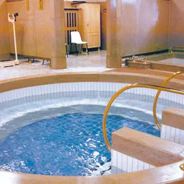 Les bains romains à Mulhouse 
