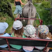 Bal'ane : découverte des plantes en carriole tirée par l'âne