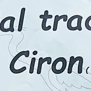 Bal trad avec la Bande à Françoise