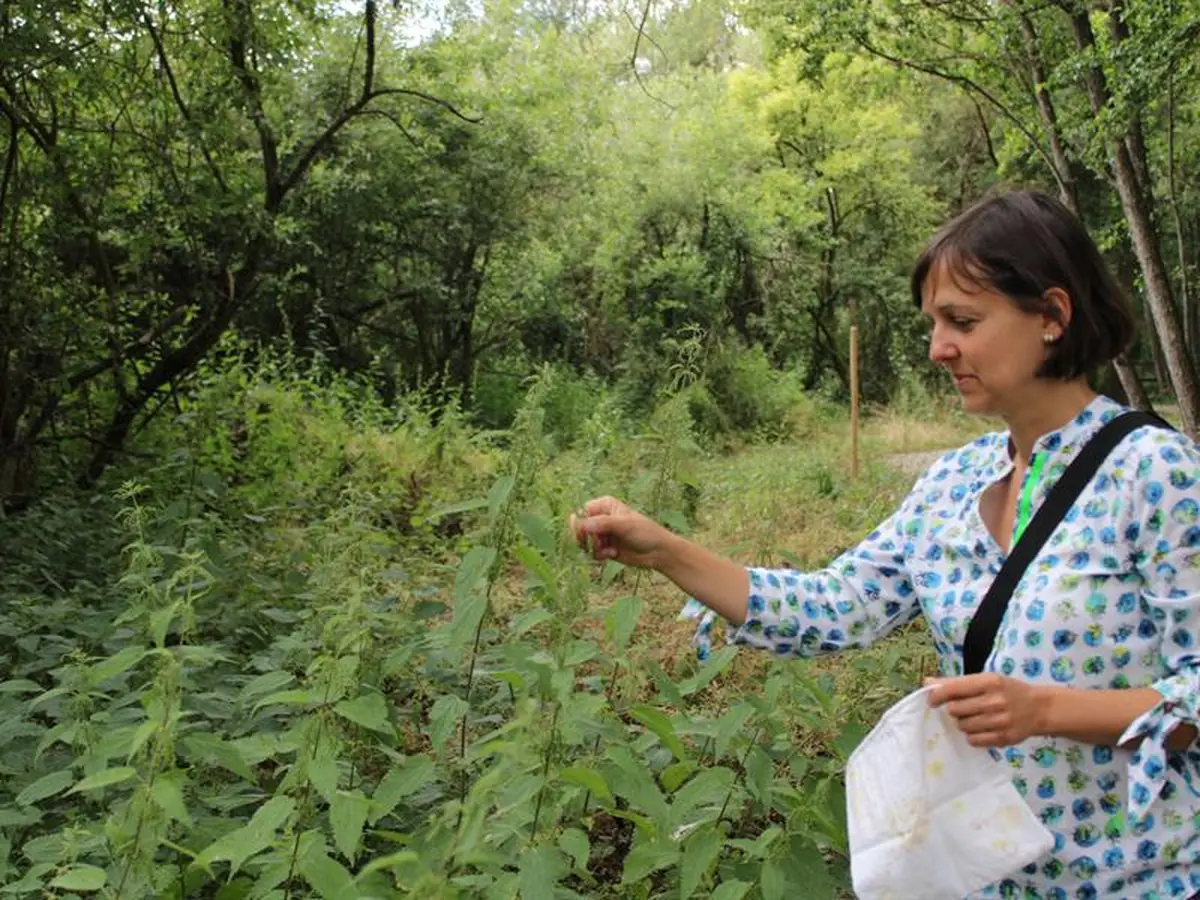 Balad'apéro sauvage