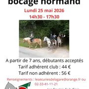 Balade à cheval 3 heures dans le bocage normand