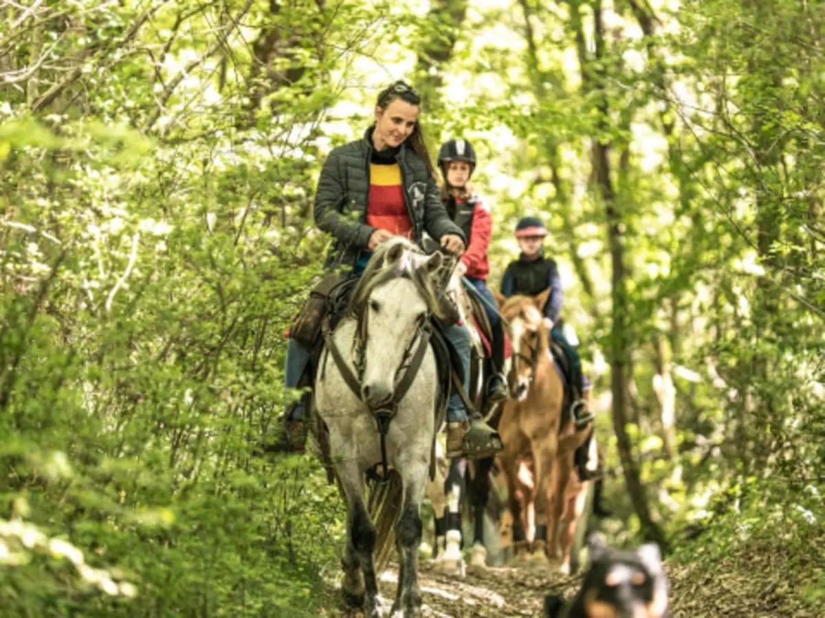 Balade à cheval à Labretonie (47)