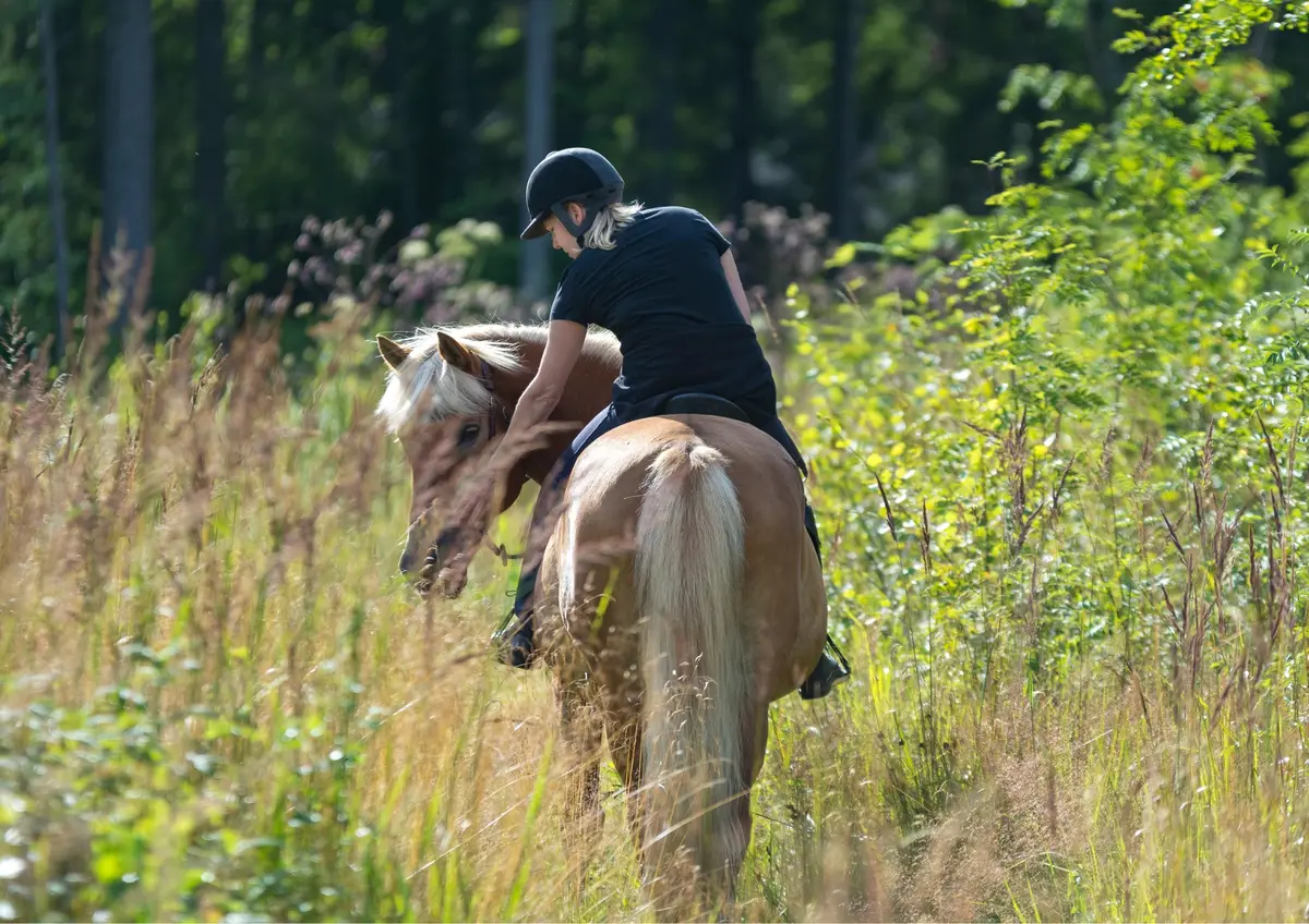 Balade à cheval au cœur du vignoble