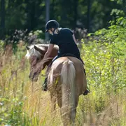 Balade à cheval au cœur du vignoble