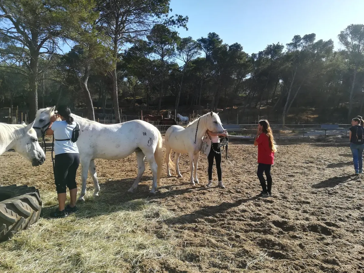 Balade à cheval au Deven