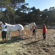 Balade à cheval au Deven