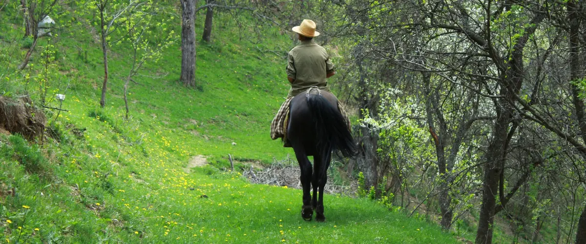 Balade à Cheval Avec Pascal Charrier