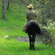 Balade à Cheval Avec Pascal Charrier
