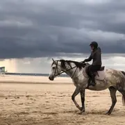 Balade à cheval campagne et plage près de Deauville (14)