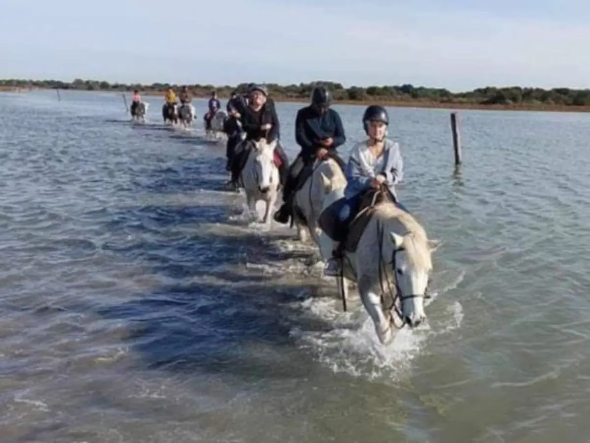 Balade à cheval d'une 1/2 journée à Sainte-Marie-de-la-Mer (13)