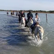 Balade à cheval d'une 1/2 journée à Sainte-Marie-de-la-Mer (13)