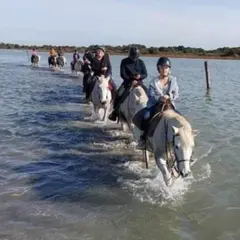 Balade à cheval d'une 1/2 journée à Sainte-Marie-de-la-Mer (13)