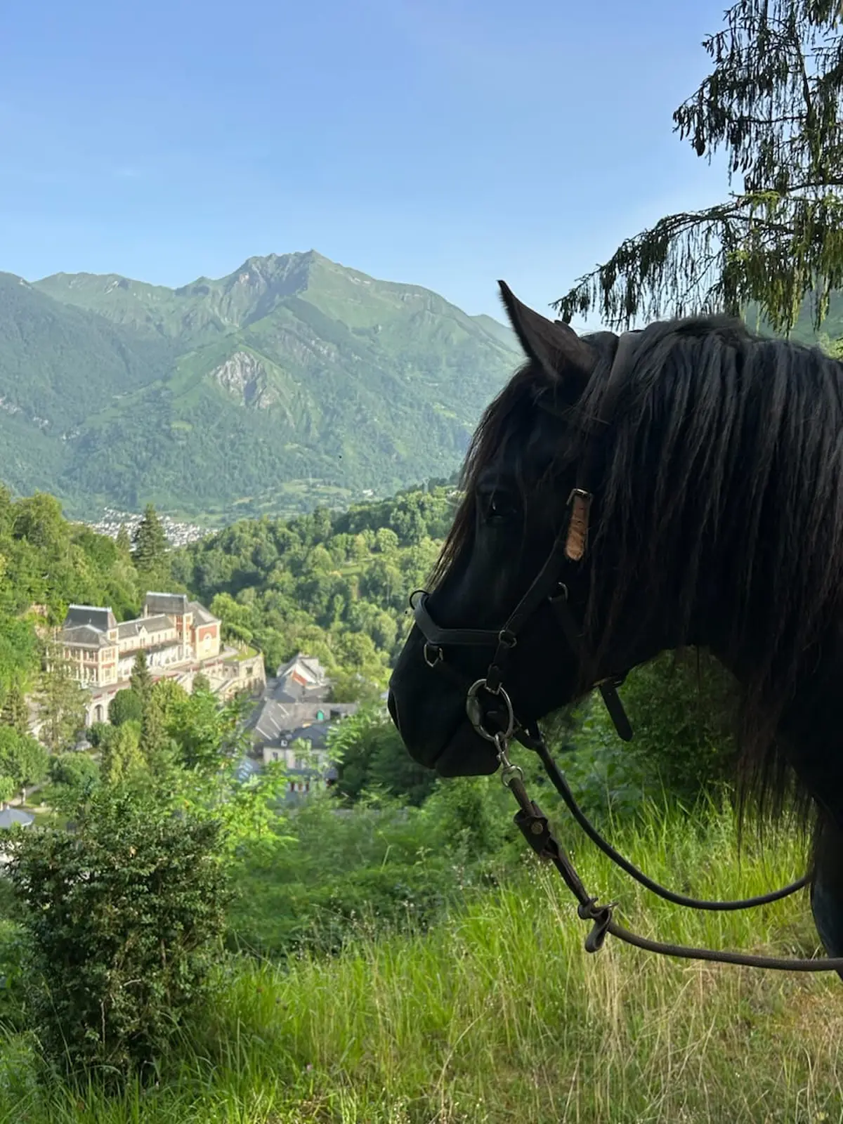 Balade à cheval dans le jardin