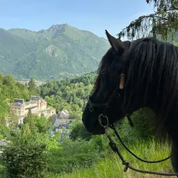 Balade à cheval dans le jardin