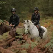Balade à cheval en forêt dans les Yvelines (78)