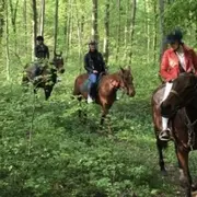 Balade à cheval en forêt de Chantilly (60)