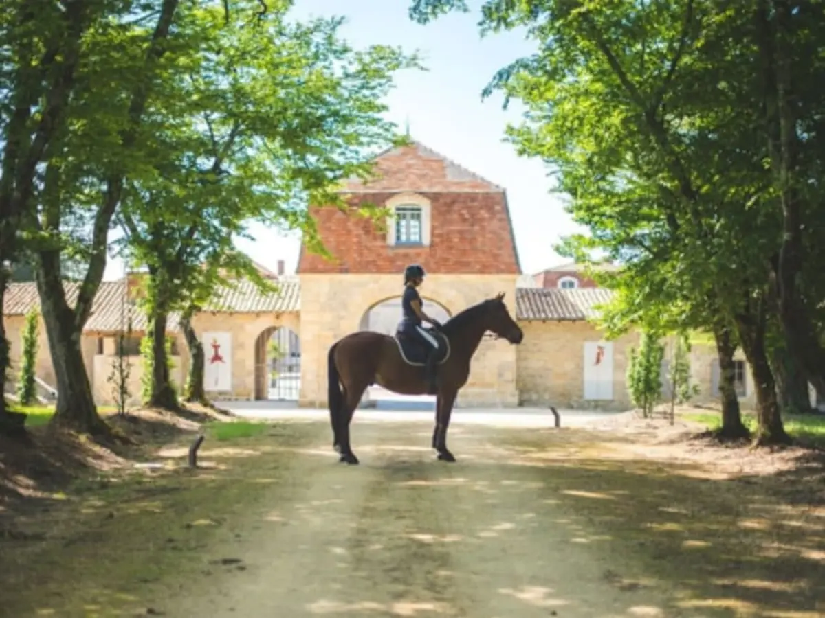 Balade à cheval et dégustation de vins à  Saint-Martin-du-Bois (33)