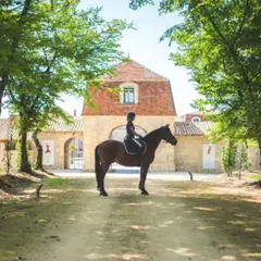 Balade à cheval et dégustation de vins à  Saint-Martin-du-Bois (33)