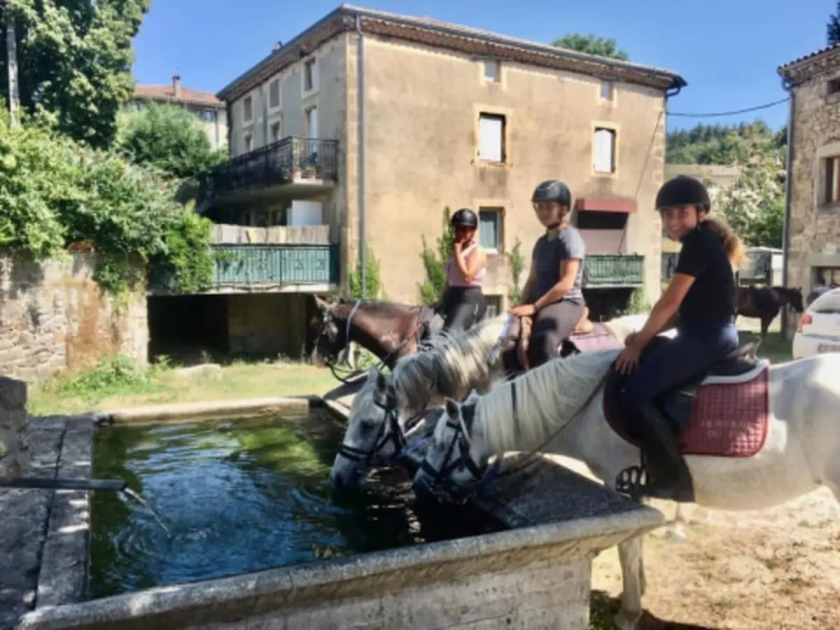 Balade à cheval nocturne pour cavaliers expérimentés à Champis