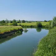 Balade à la découverte des papillons et autres petites bêtes du marais de la Touques.